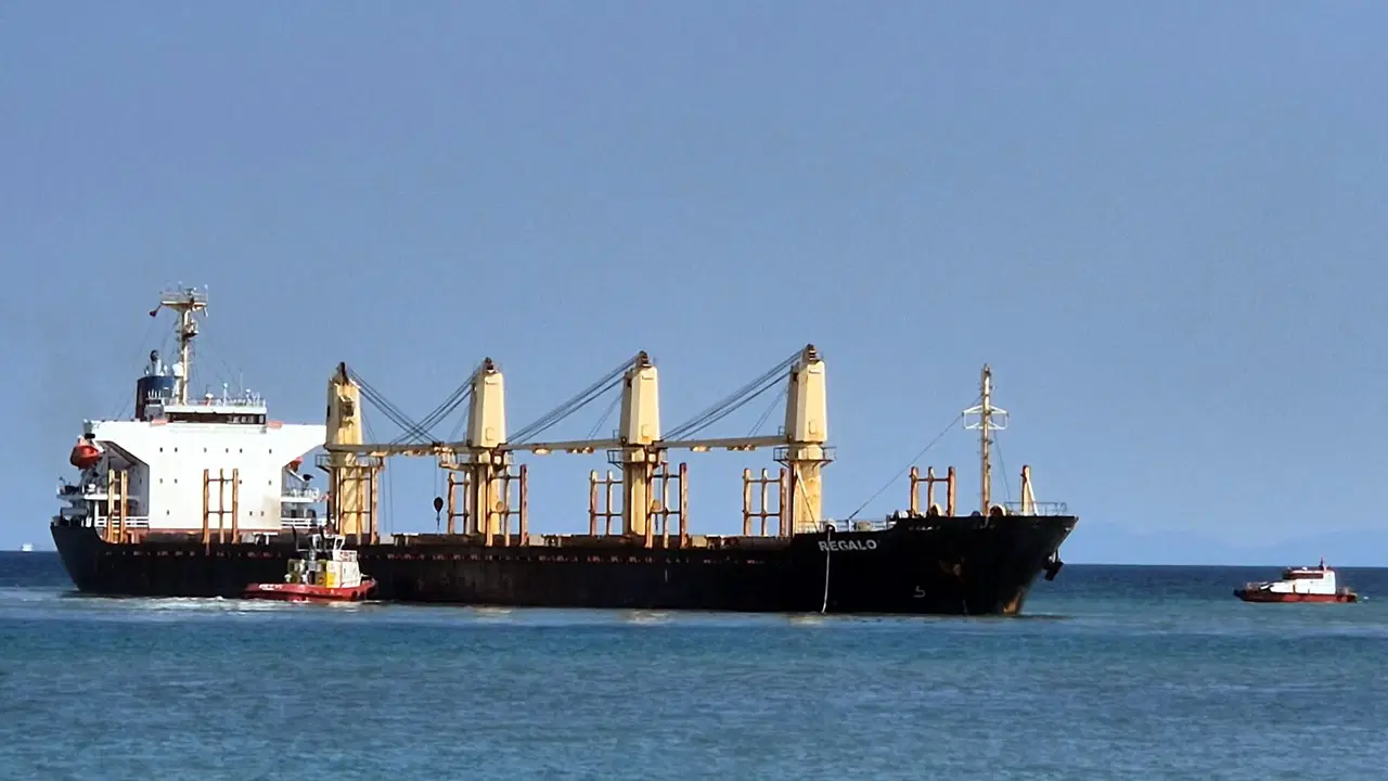 Tekirdağ açıklarında kuru yük gemisi karaya oturdu Img
